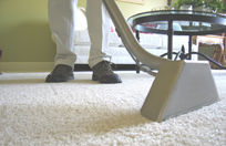 Treating Stains and Odors, Cleaning Minneapolis and Saint Paul area Residential Carpeting