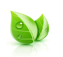 Green Carpet Cleaning, October 2023 Offer, green leaf