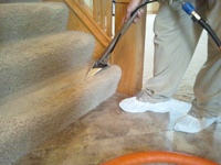 No Residue Carpet Cleaning