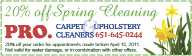 spring cleaning special